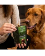 CBD Dog Bites - Image 3