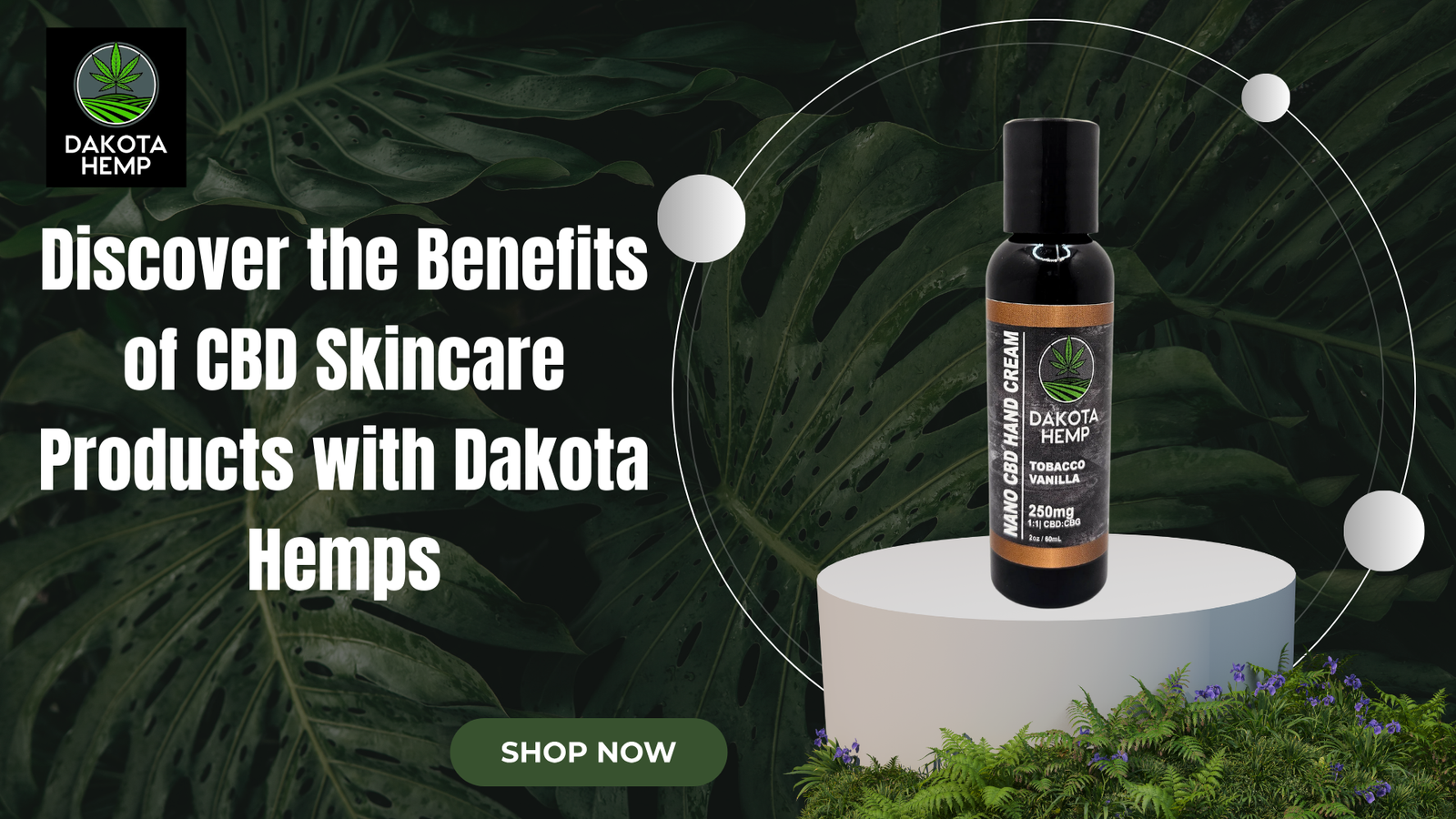 CBD Skincare Products