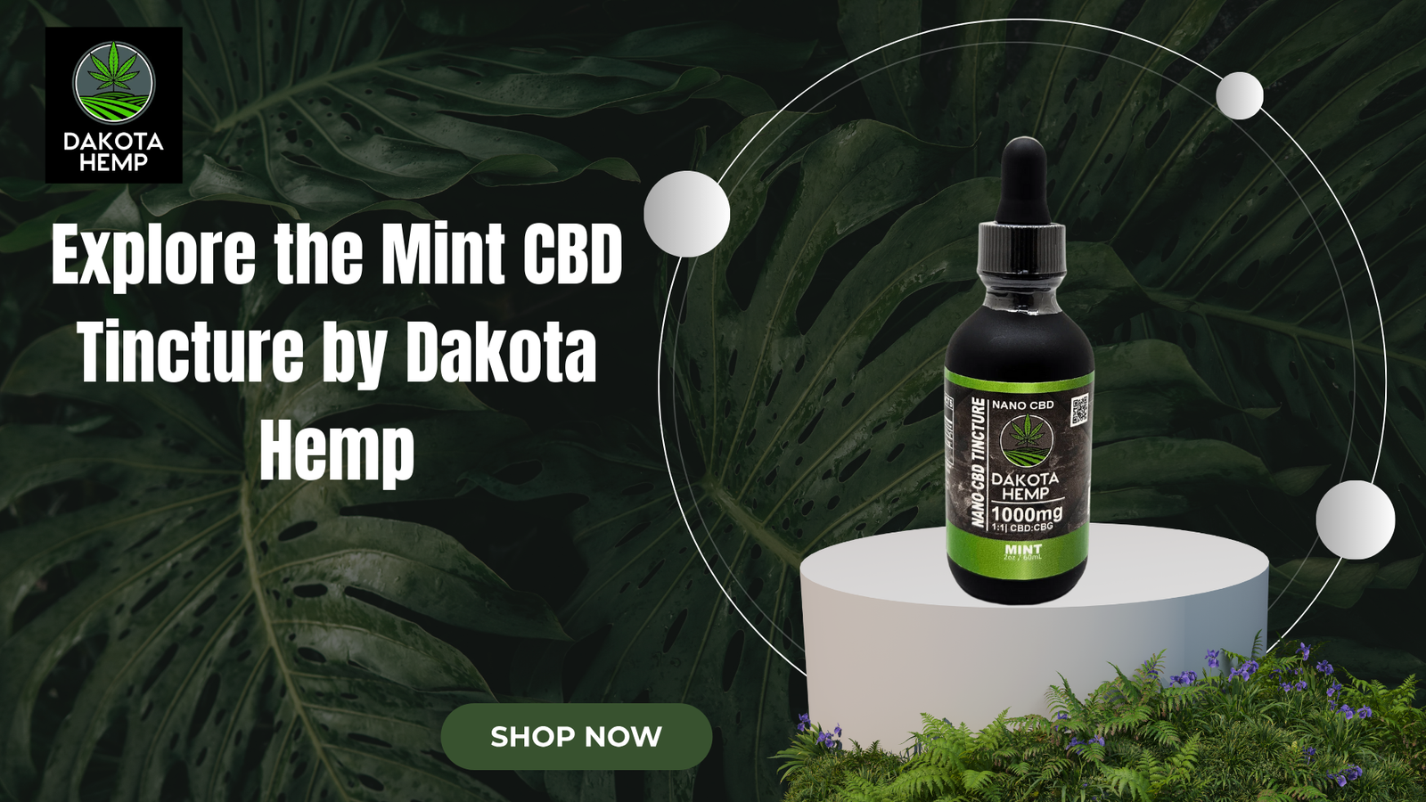 Mint CBD Tincture