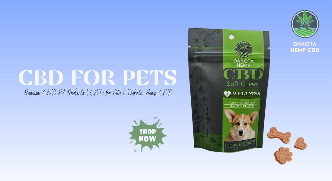 CBD for pets